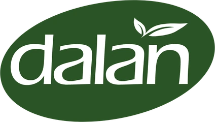 Dalan