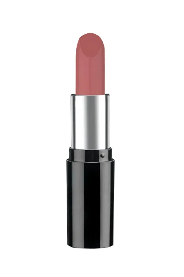 Pastel Profashion Mat Yoğun Pigmentli Lipstick - Nude No: 541