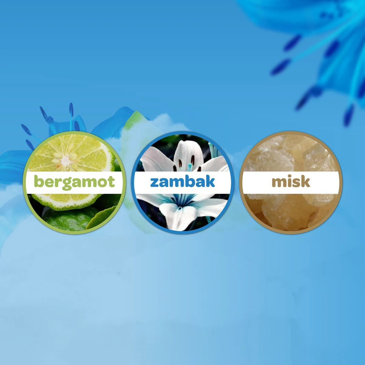 Dalin Bebek Kolonyası 150 ml - Deniz Esintisi ürün görseli