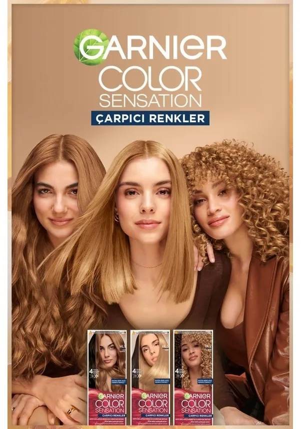 Garnier Color Sensationals 6.31