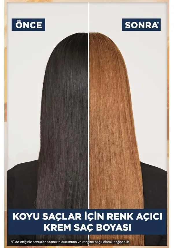 Garnier Color Sensationals 6.31