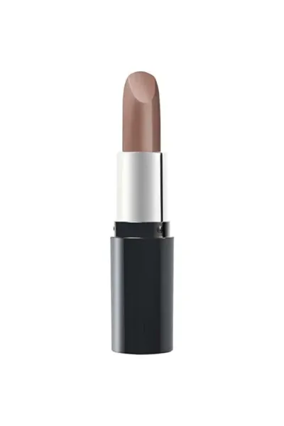 Pastel Profashion Mat Yoğun Pigmentli Lipstick - Nude No: 538